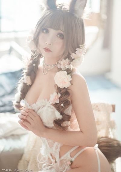 婚巢电视剧免费观看完整版